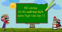 Ngu van 11