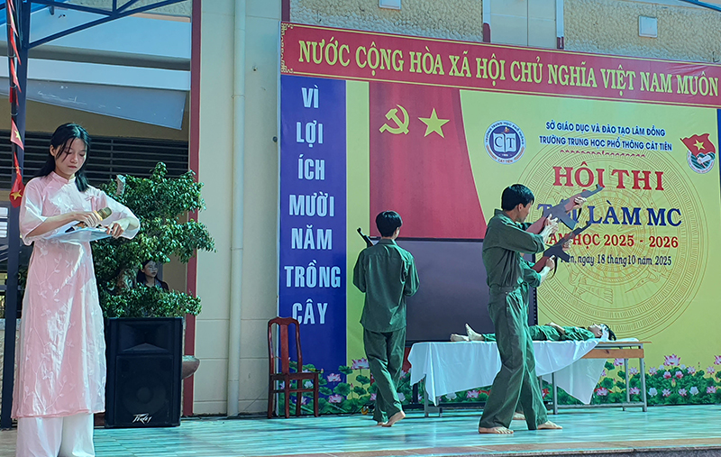 HTMC 6
